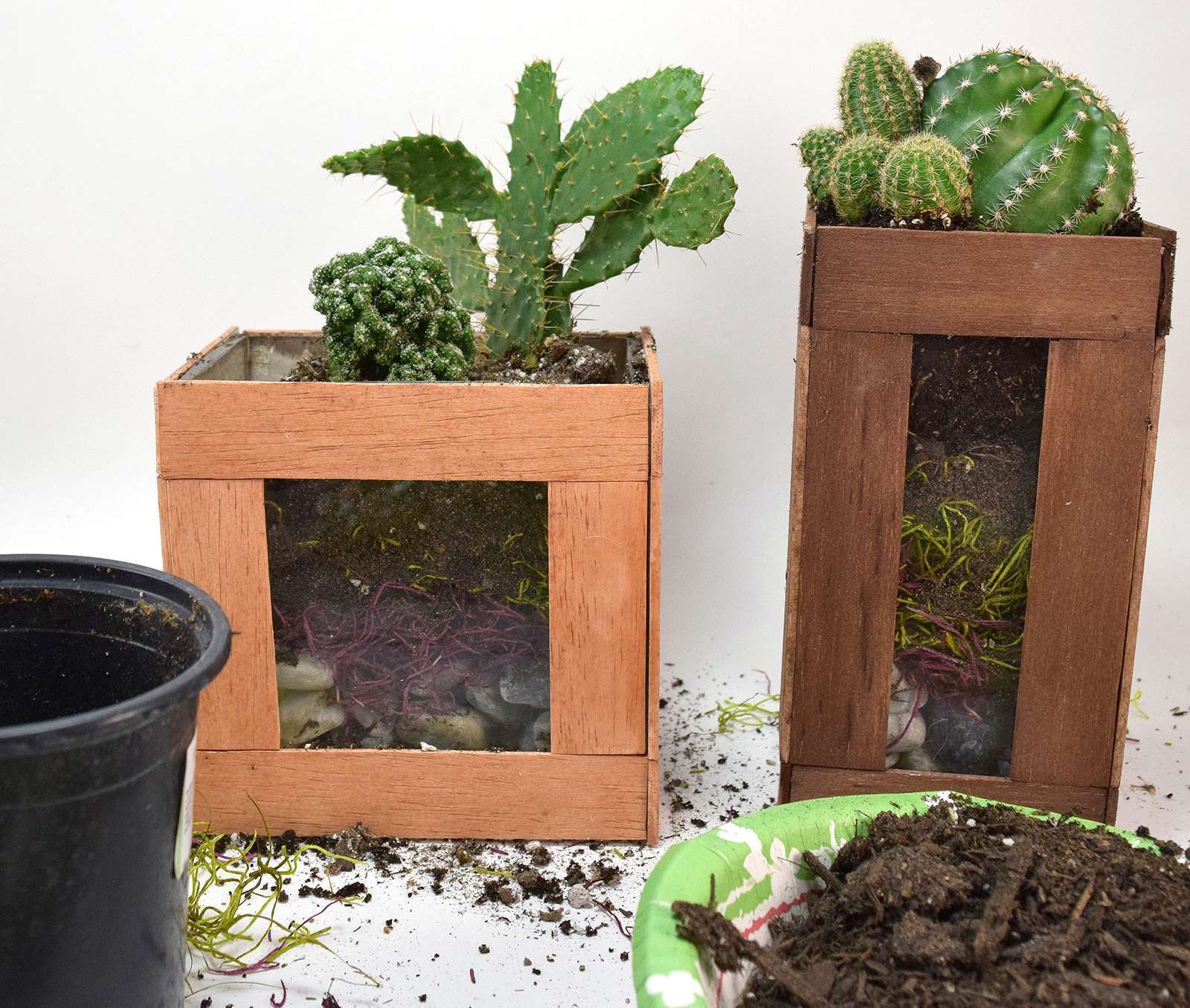 How to Glue Wood to Glass - Simple Cactus Terarriums