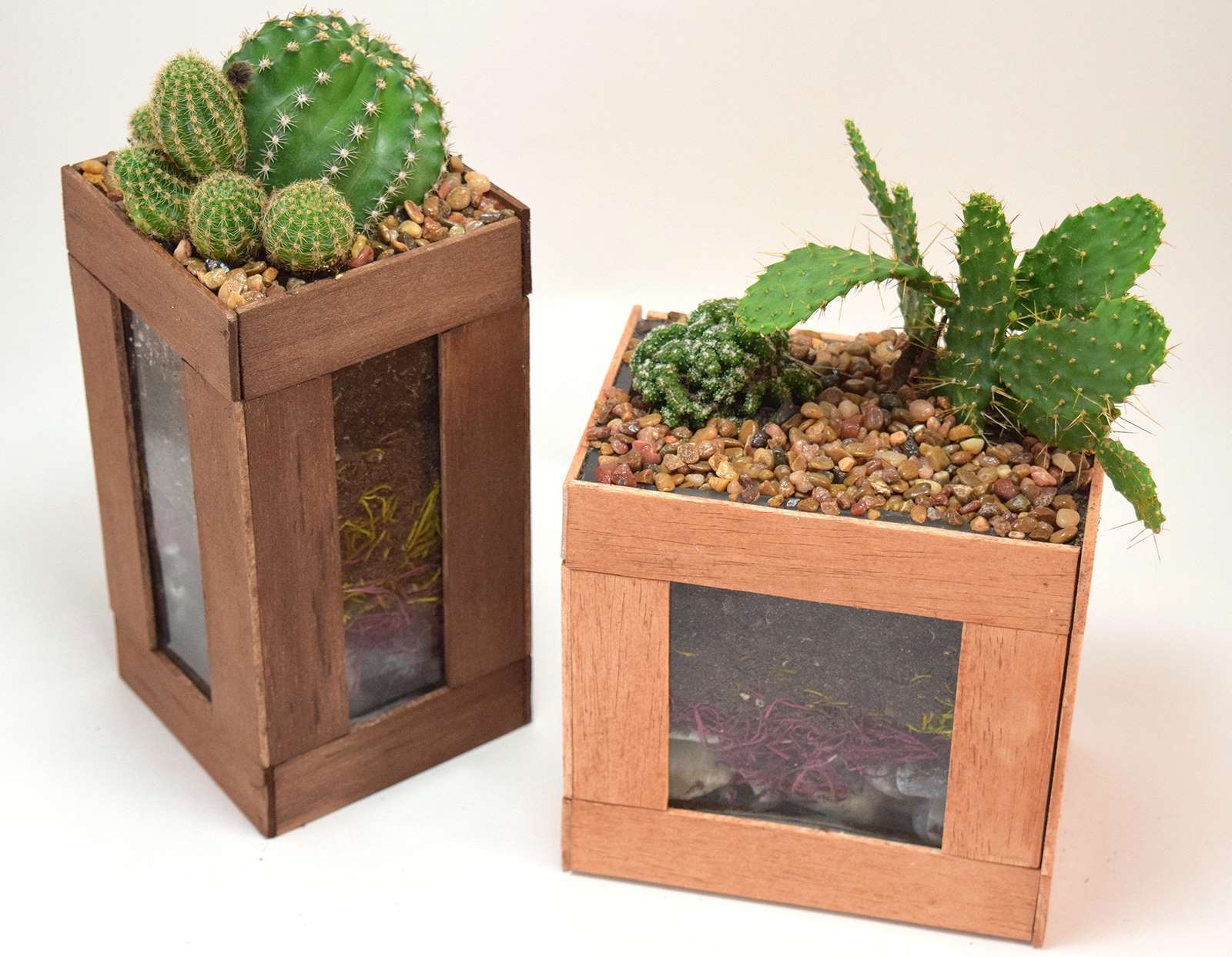 How to Glue Wood to Glass - Simple Cactus Terarriums