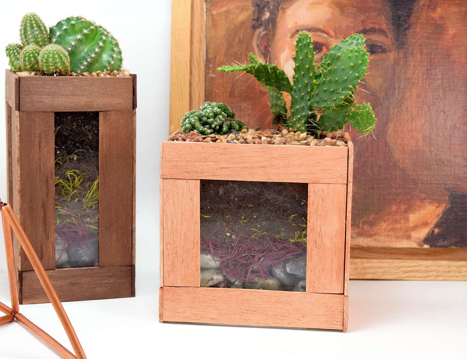 How to Glue Wood to Glass - Simple Cactus Terarriums