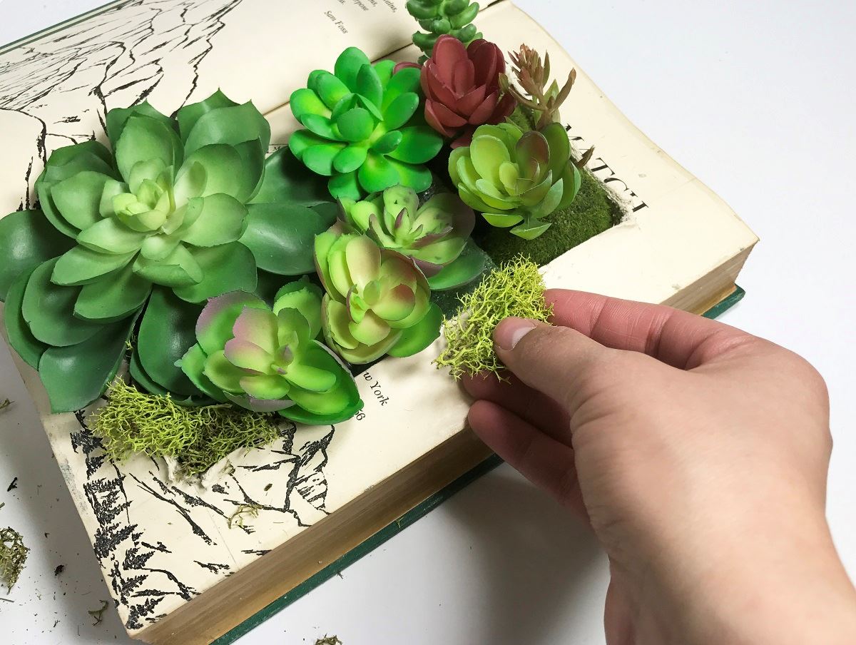 Succulent Book Planter