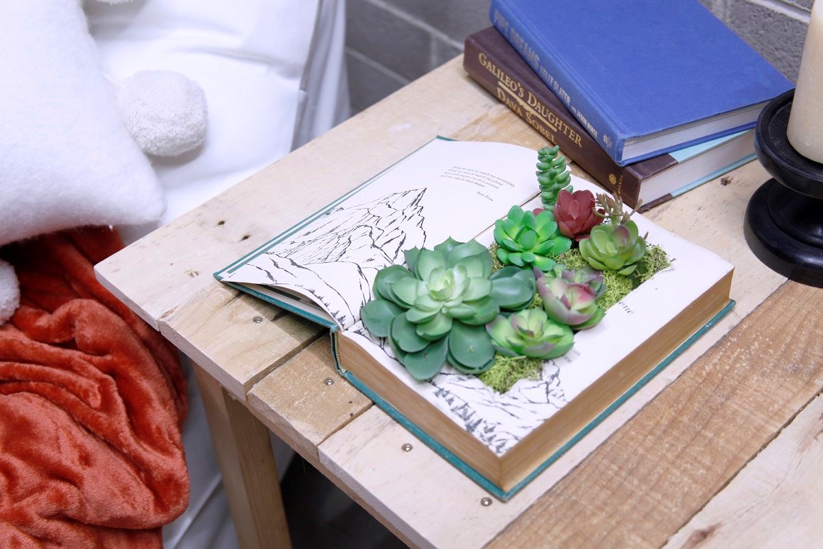 Succulent Book Planter