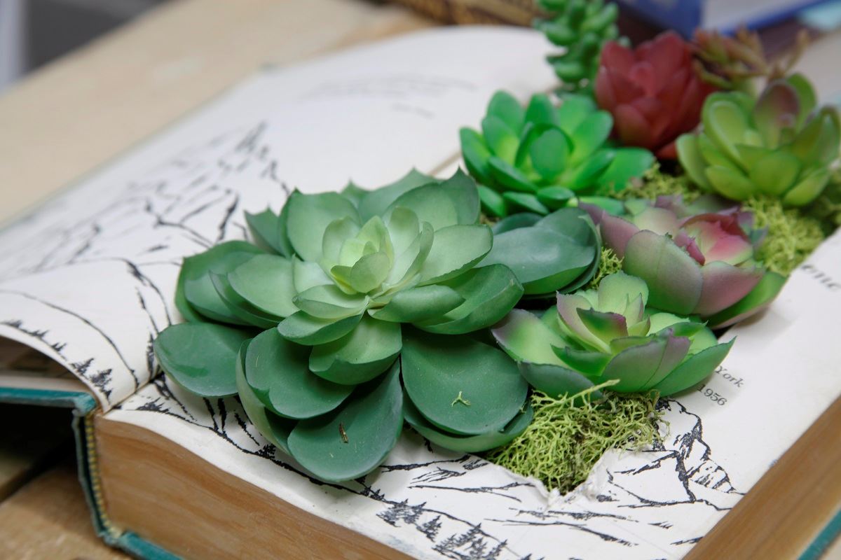 Succulent Book Planter