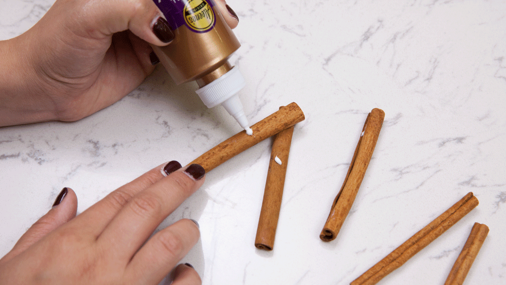 DIY Cinnamon Stick Star Ornament