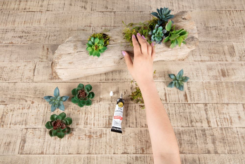 Aleene's Driftwood Succulent Planter - add more succulents