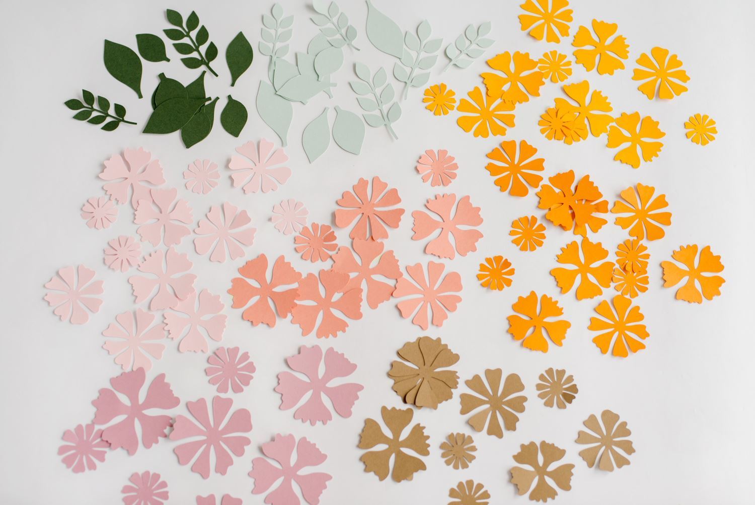 Cut out flower and leaf shapes