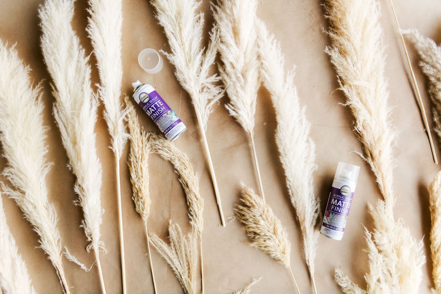 Lay pampas grass onto a protected work surface