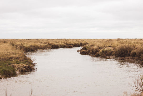 Fera - Poacher Gilet - Norfolk Salt Marshes