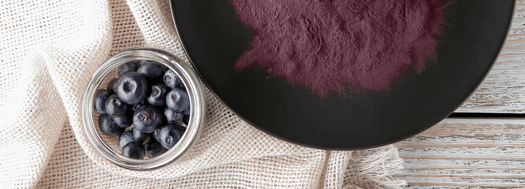 Bowl of blueberries and a bowl of dried ground blueberry superfood powder