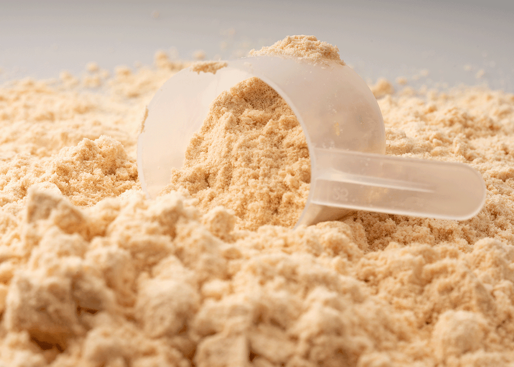 Plastic protein scoop in a pile of protein powder
