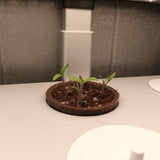 Day 6 hydroponic tomato growth in Garden Gizmo