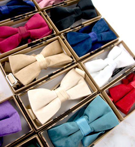 Spring Notion velvet bow ties