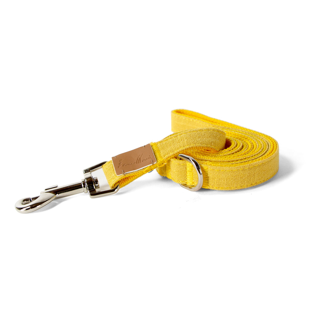 mustard dog lead