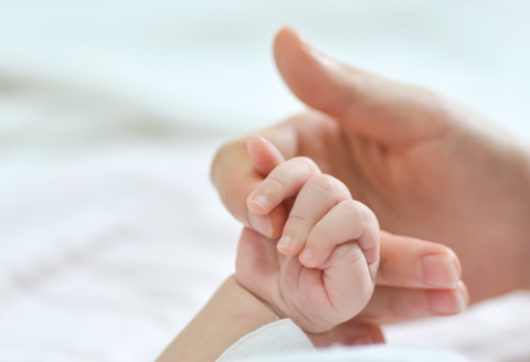 Mains d'un bébé et d'une maman avec fond blanc