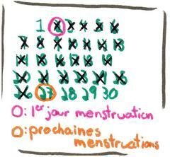 calendrier menstruel