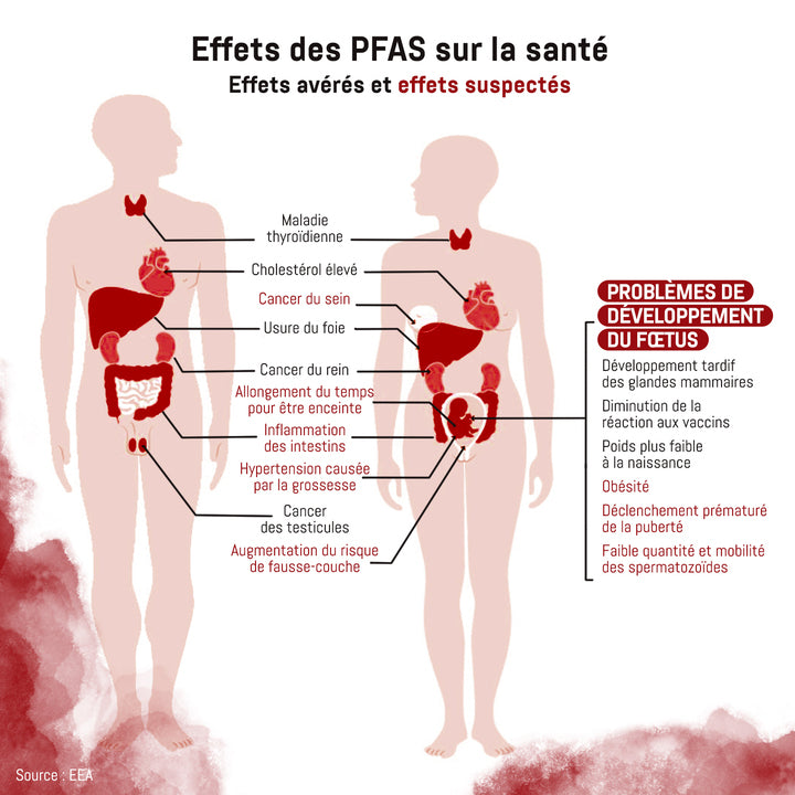 Effect of PFAS on health