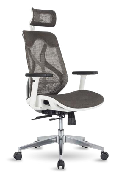 Ergo Human HB Chair – ERGO SPACE - Best Office Furniture Manufacturers in  Delhi NCR