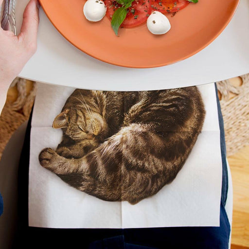 https://cdn.shopify.com/s/files/1/0574/0888/0830/products/lap-cat-napkins_512x512.jpg?v=1700171821