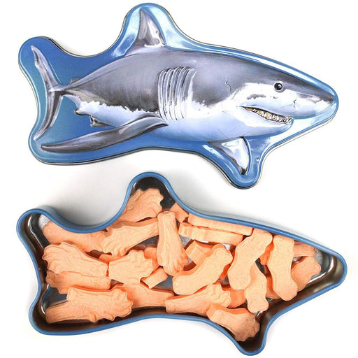 Shark Gifts for Shark Lovers Shark Stuff for Shark Part - PACK OF 2 - Shark  Mold Fun Ice Cube Trays for Shark Theme Birthday Party Supplies -Fin Ice