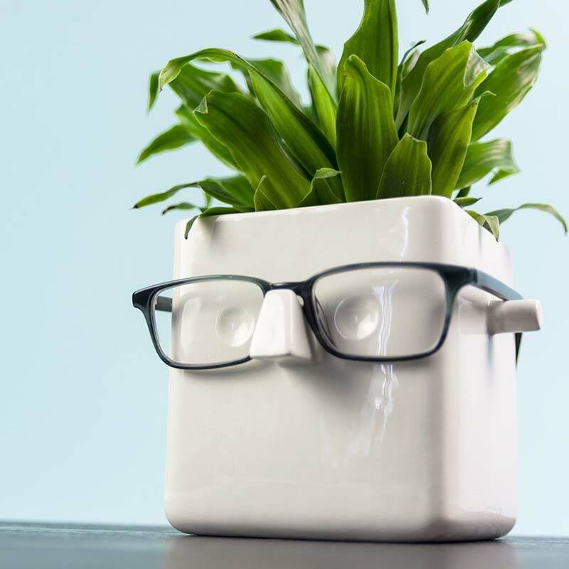 Udøve sport Tilbagebetale maling Face Plant Planter + Eyeglass Holder - Unique Gifts - 30 Watt — Perpetual  Kid