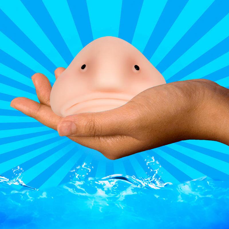 Sunny the Blobfish Stress Ball