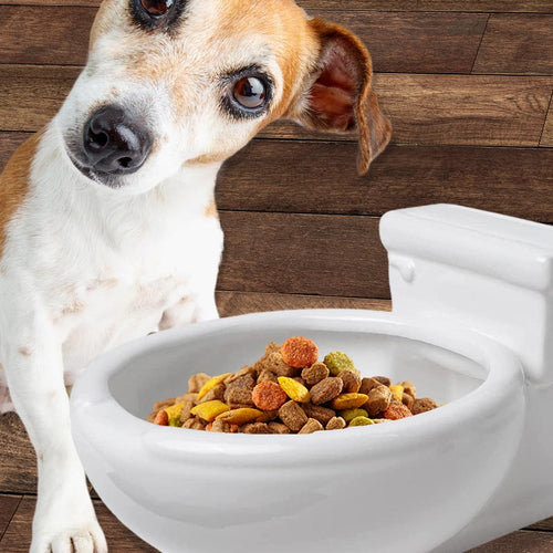 Toilet bowl sales dog bowl