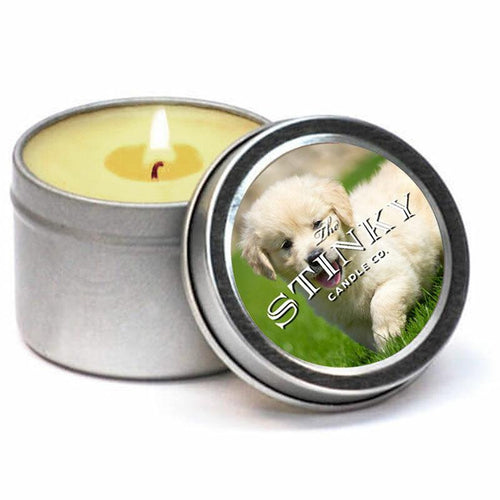 Are Yankee Candles Safe for Dogs? Handle With Care - WeWantDogs