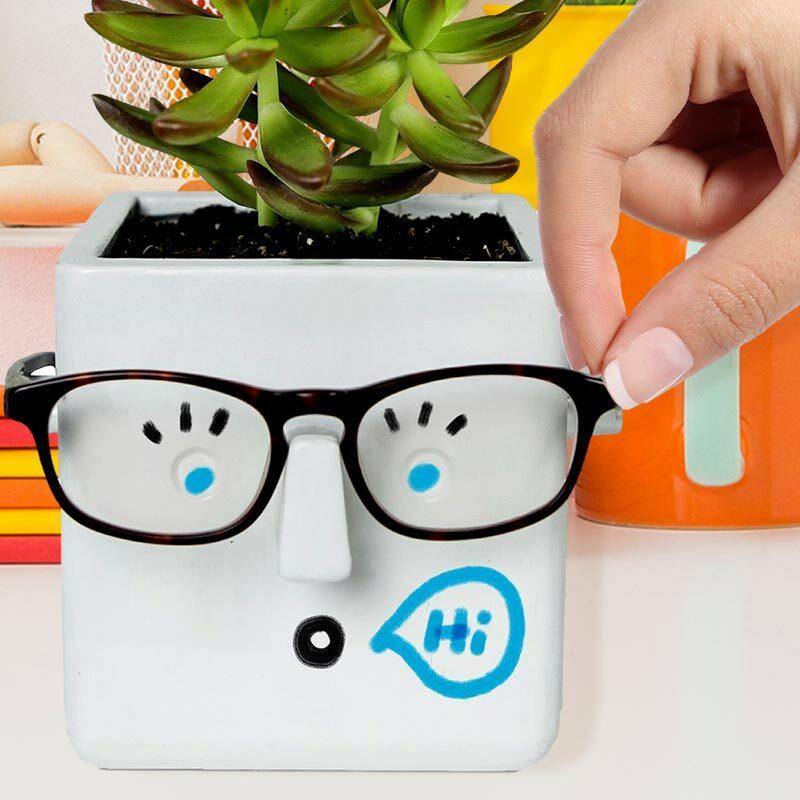 Face Plant Planter + Eyeglass Holder - Unique Gifts - 30 Watt — Perpetual  Kid