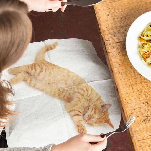 https://cdn.shopify.com/s/files/1/0574/0888/0830/products/unique-gift-lap-cat-napkins-2_512x512.jpg?v=1700171762