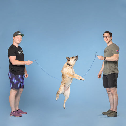 Dog jump roping
