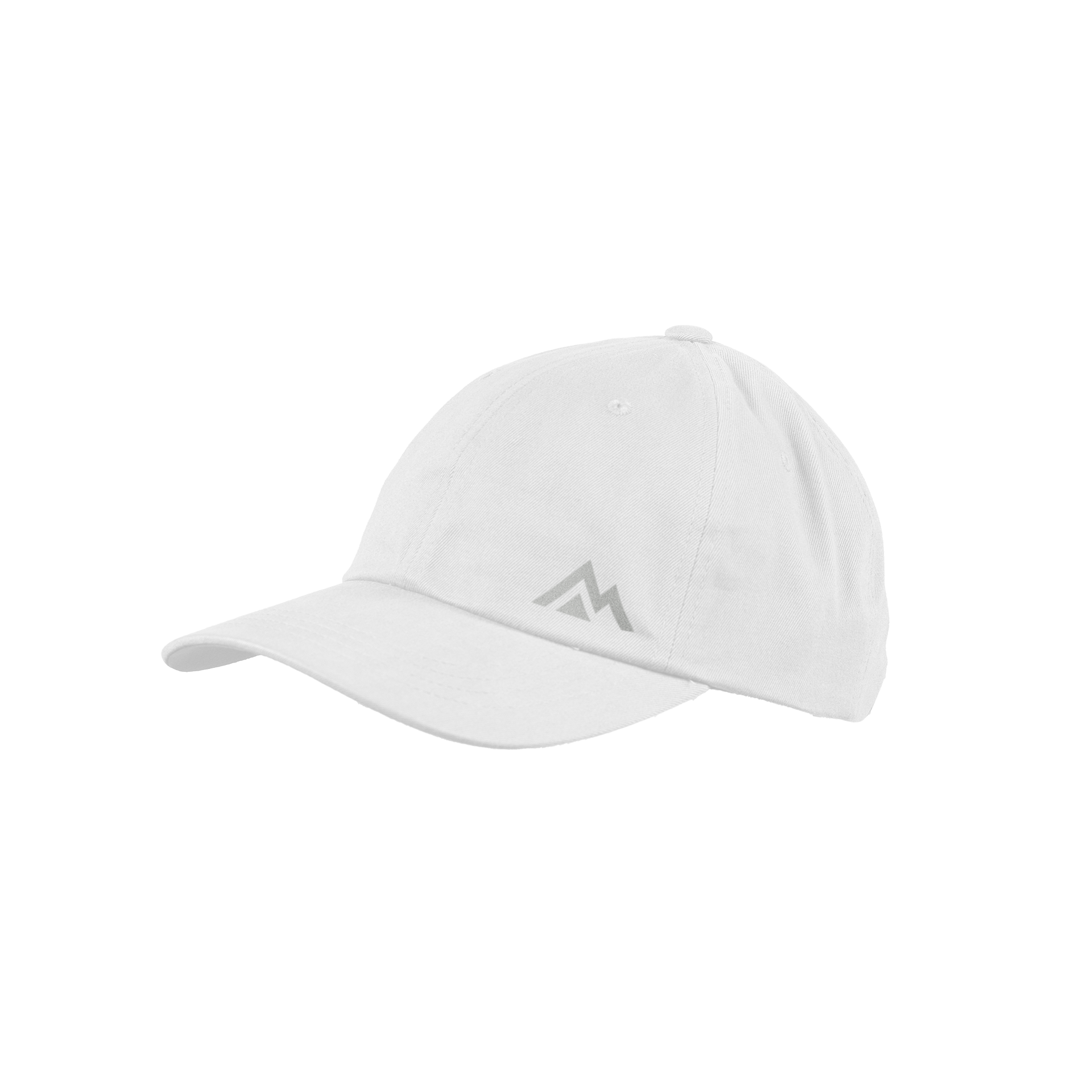 Peak Cap - White/Silver / OSFM (6 5/8