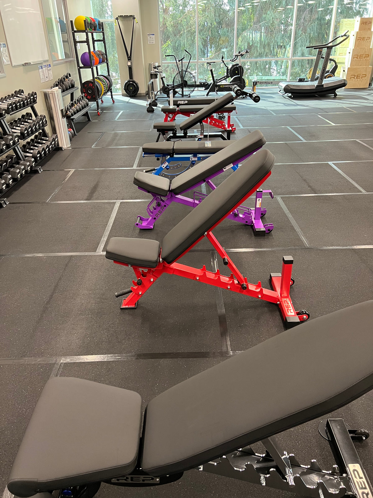 Benches Displayed In Showroom