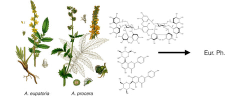 The Chemical make up of Agrimony