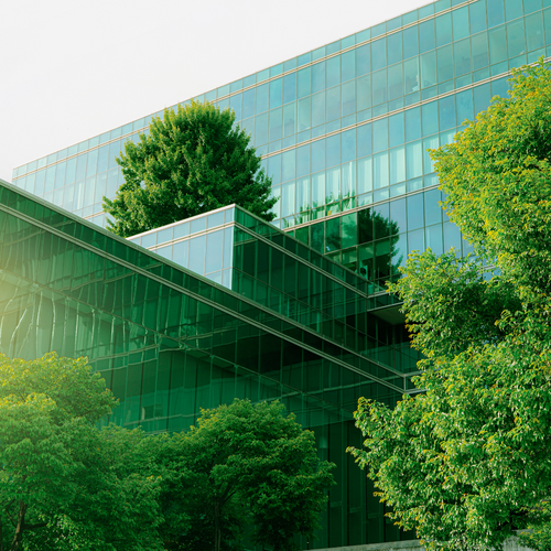 a green building with trees in front of it