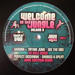 Jungle and DnB Vinyl