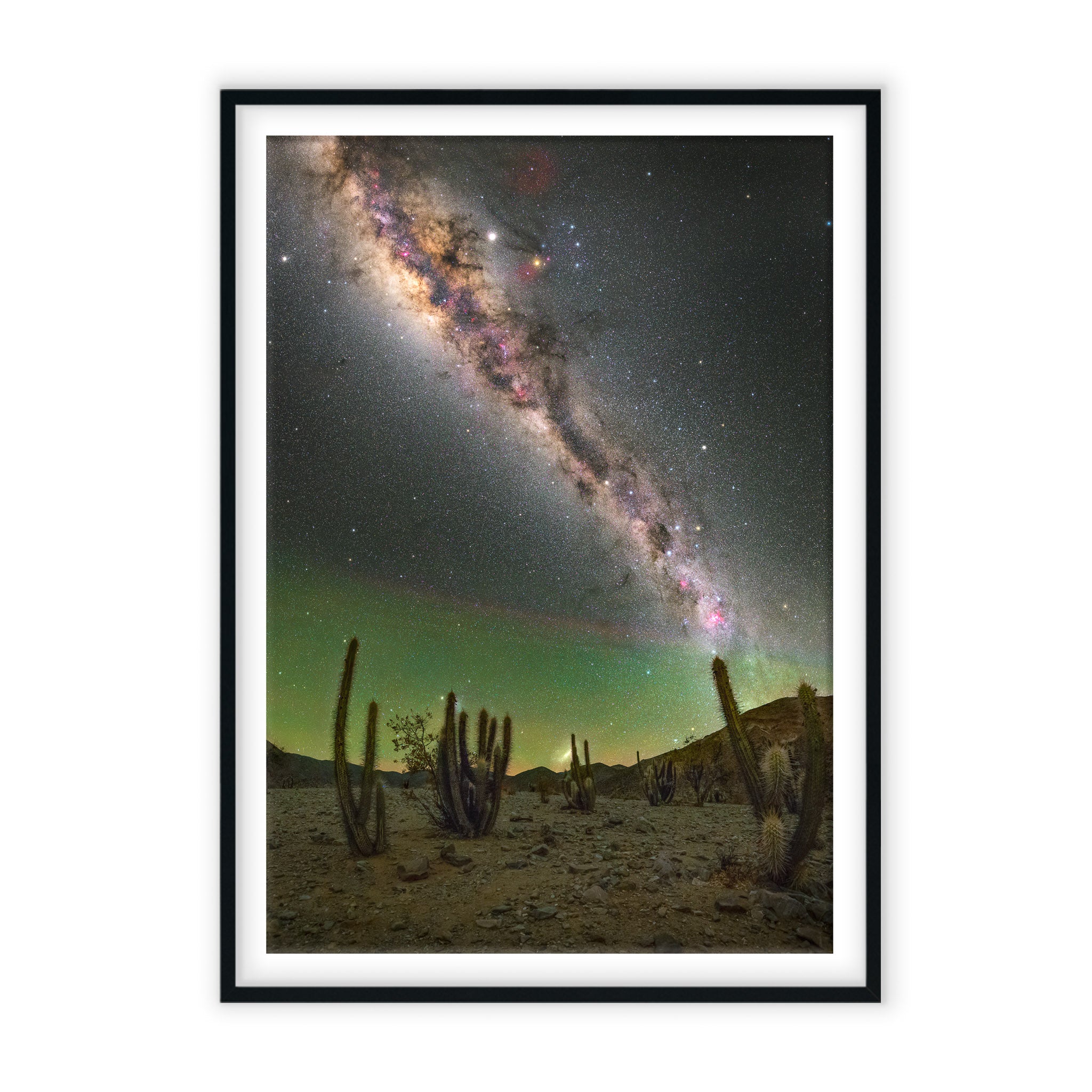 Aurora Moon flower  Buy Fine Art Print -  – Cosmonity ®