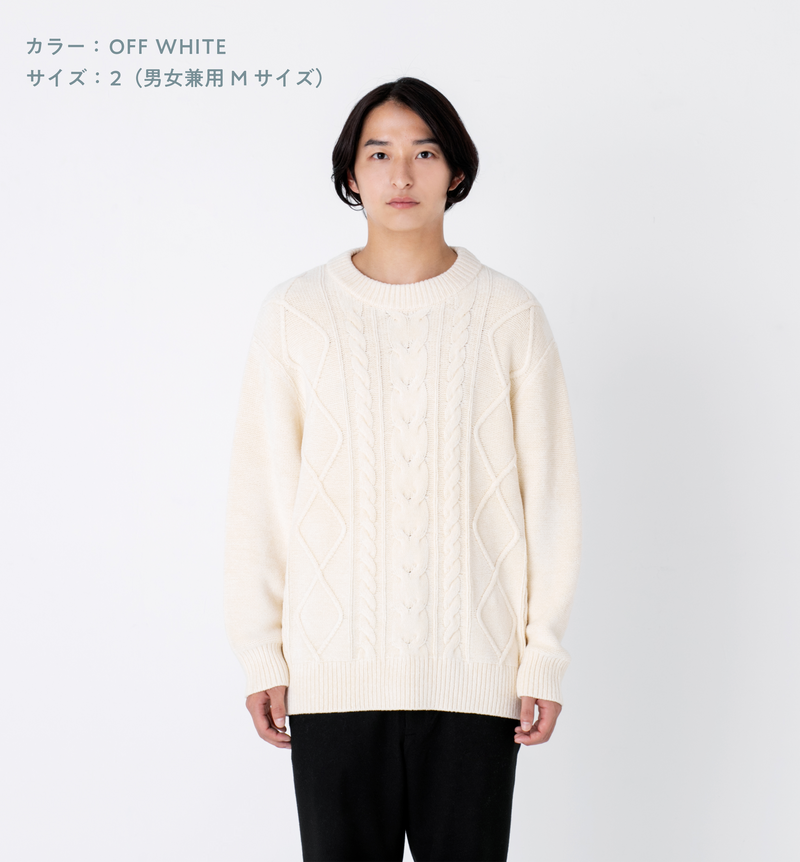 通常 1本タイプ 佐藤健さん Abyts CREW NECK CABLE KNIT