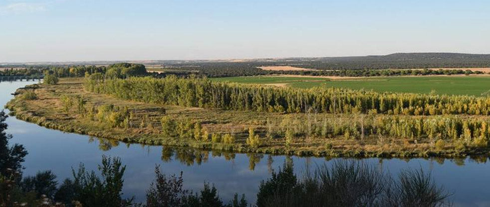 Embalse de San José, Castronuño