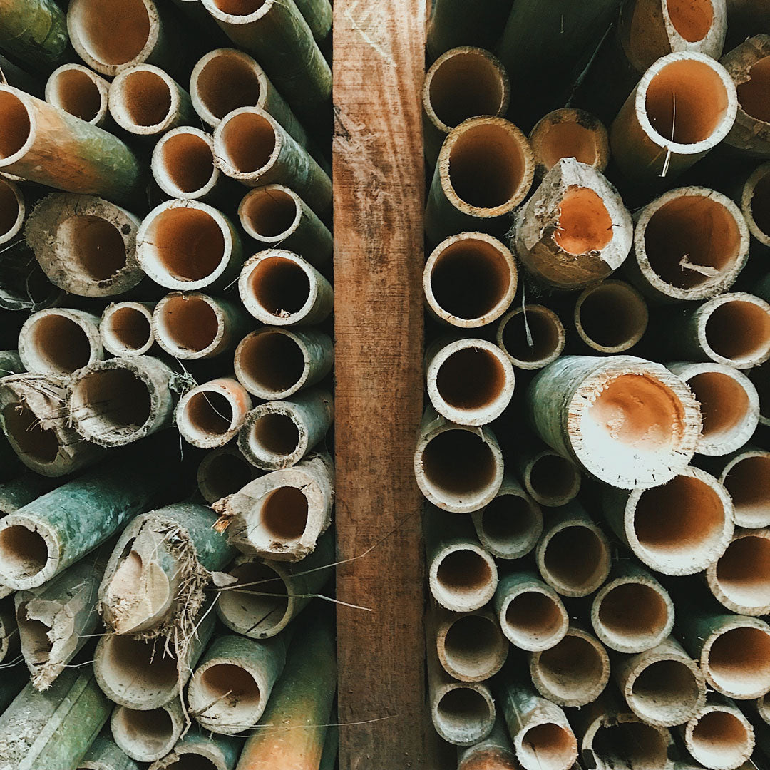 A stack of cut bamboo sticks