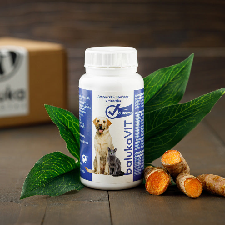 vitaminas para perros con antiinflamatorio natural