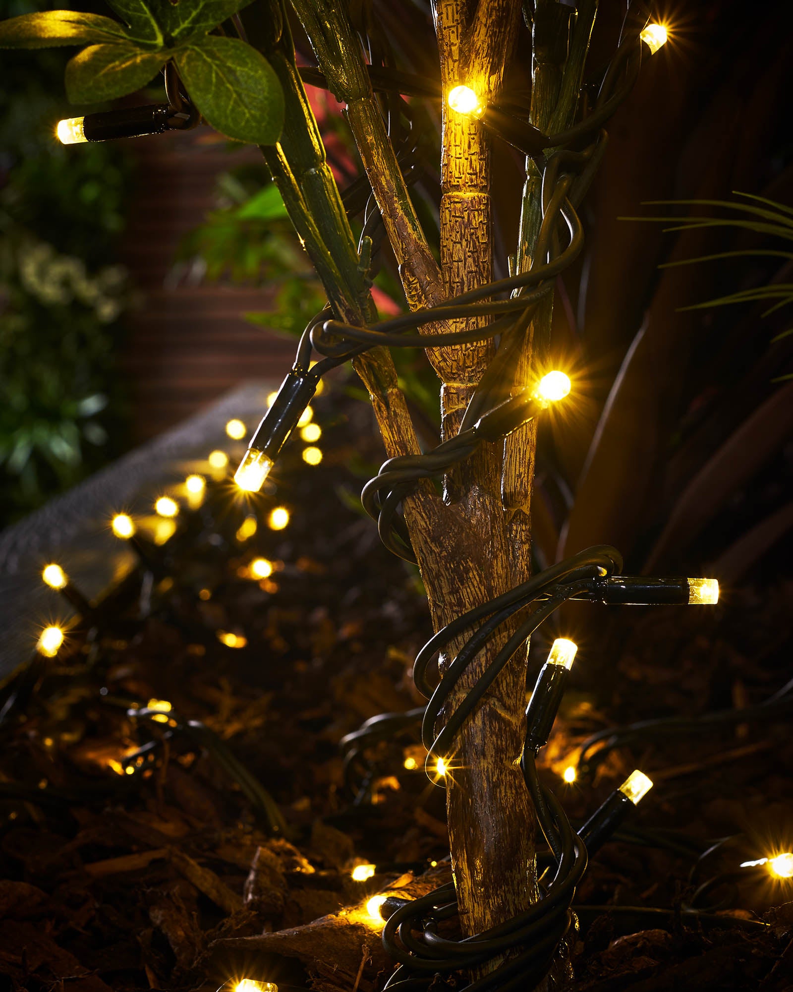 LED String Lights, Gold - LINKLighting product image