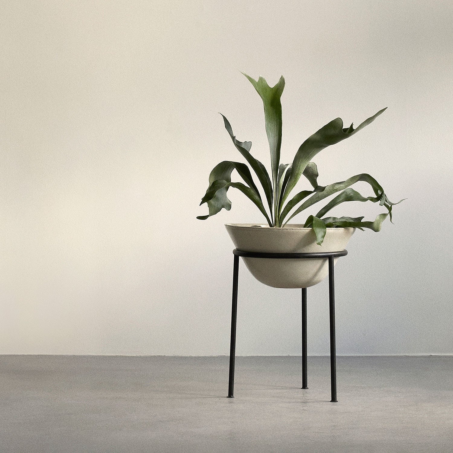 collection | audo (menu) planters + outdoor