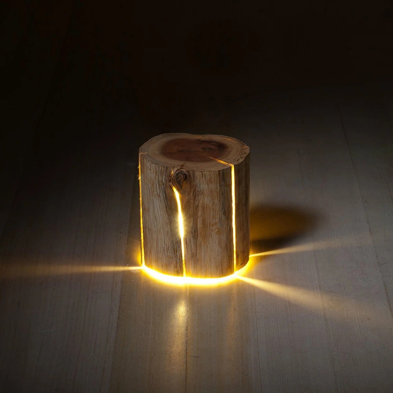 duncan_meerding_cracked_log_lamp.jpg__PID:f19dbc6a-6167-4e54-ad0e-61b85bd9a46c