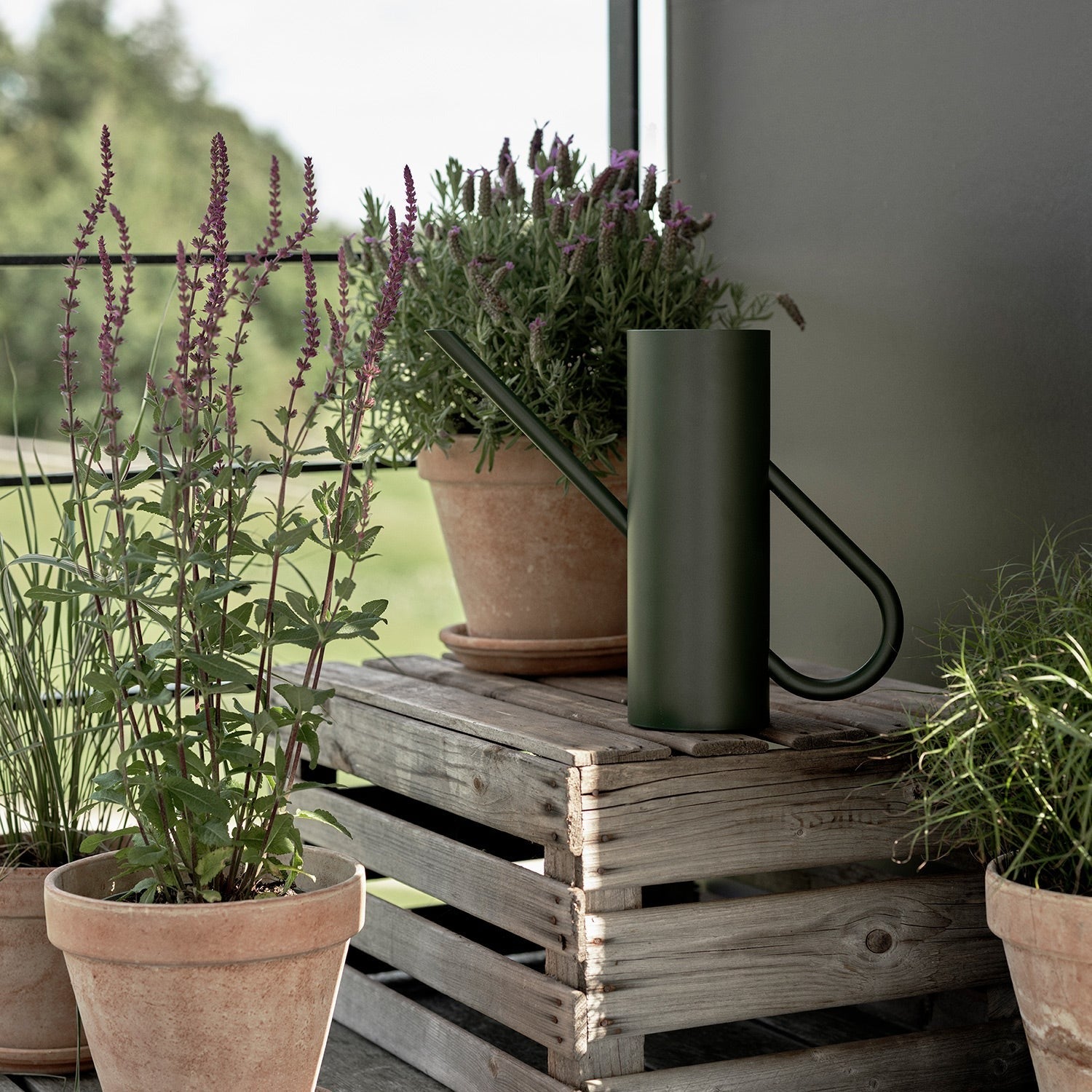 stelton | bloom watering can