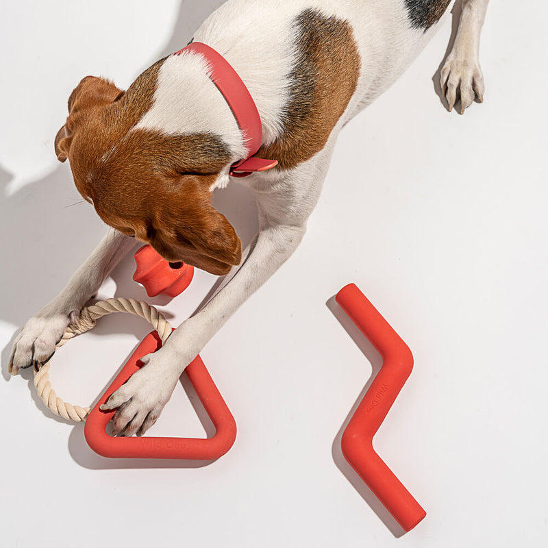 wild one | dog triangle tug toy | red