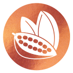 block image - cocoa pods on copper icon