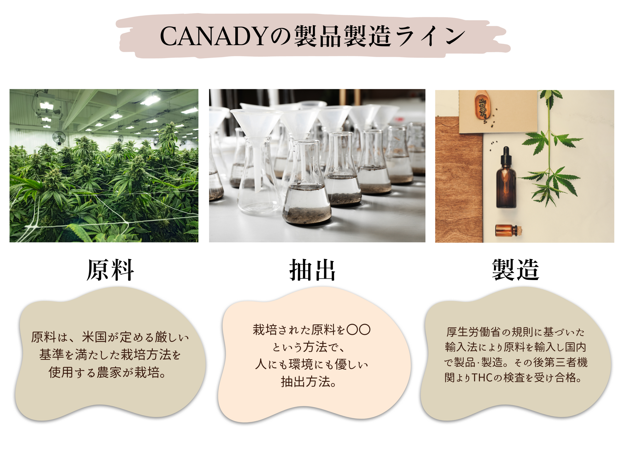 CBDオイル製品製造ライン