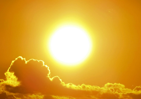How Important is Vitamin D?
