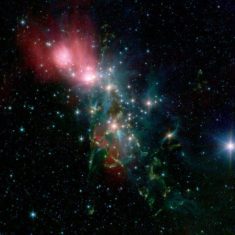 NGC 1333, one of many Reflection Nebulae located in the Perseus constellation. Image from Wikipedia.