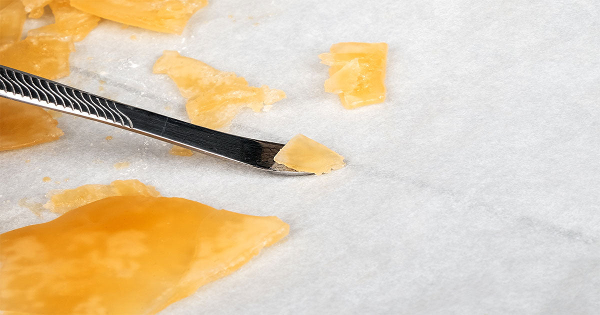 Man picking up yellow cannabis shatter