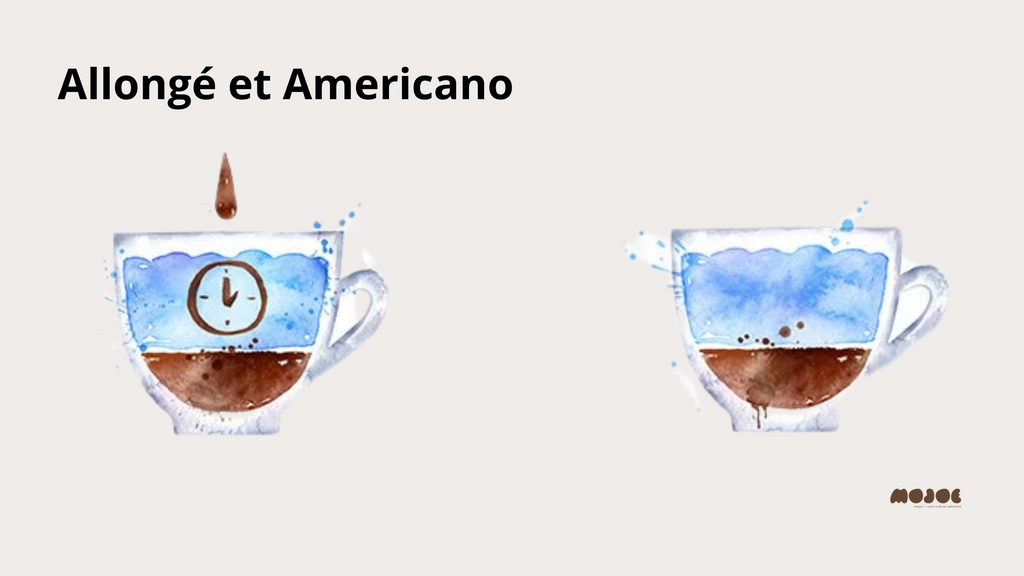 Différences entre Lungo et Americano